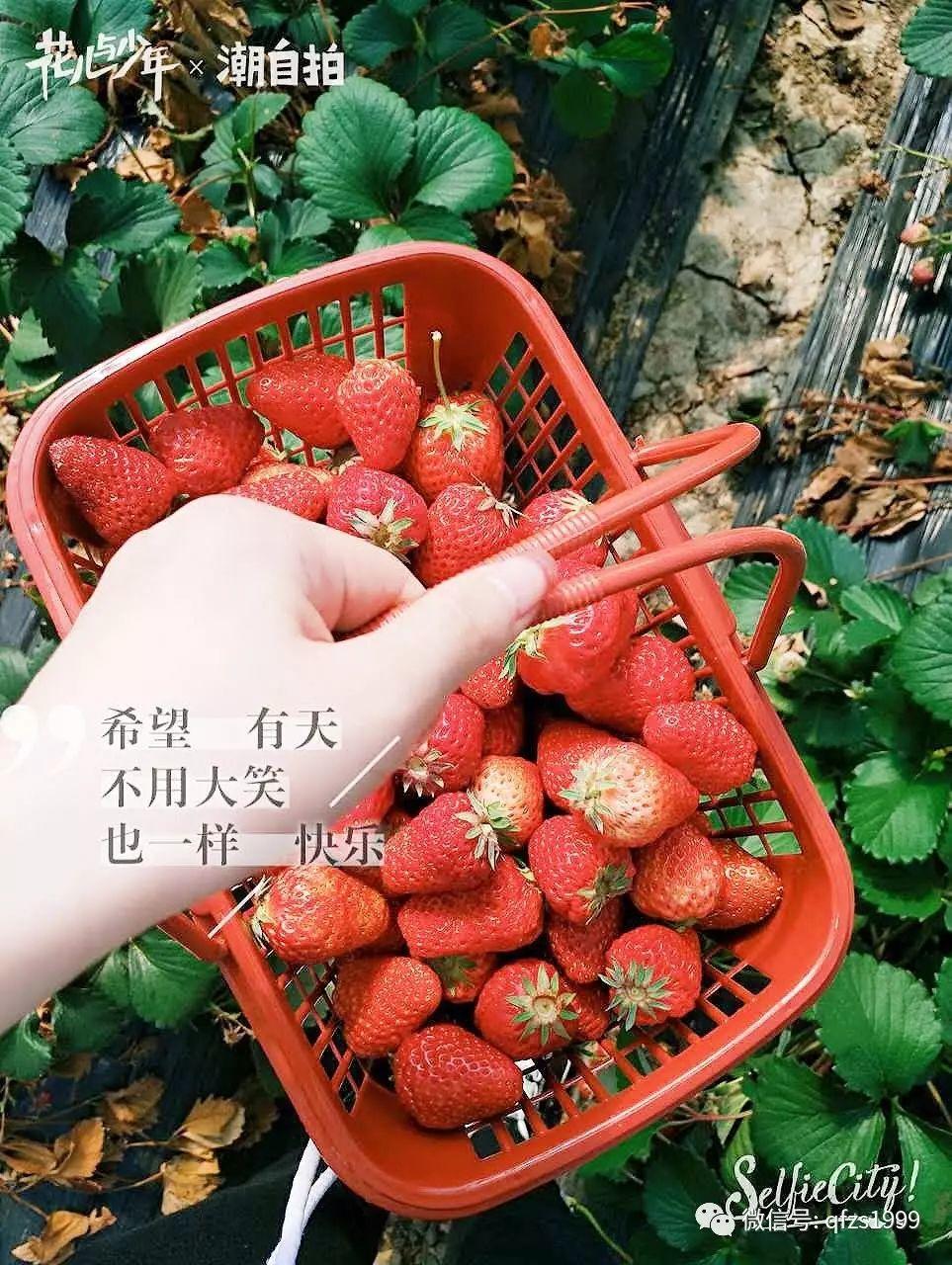 厲害了我的伙伴們！清風(fēng)裝飾優(yōu)秀團(tuán)隊—2017春游踏青之旅。