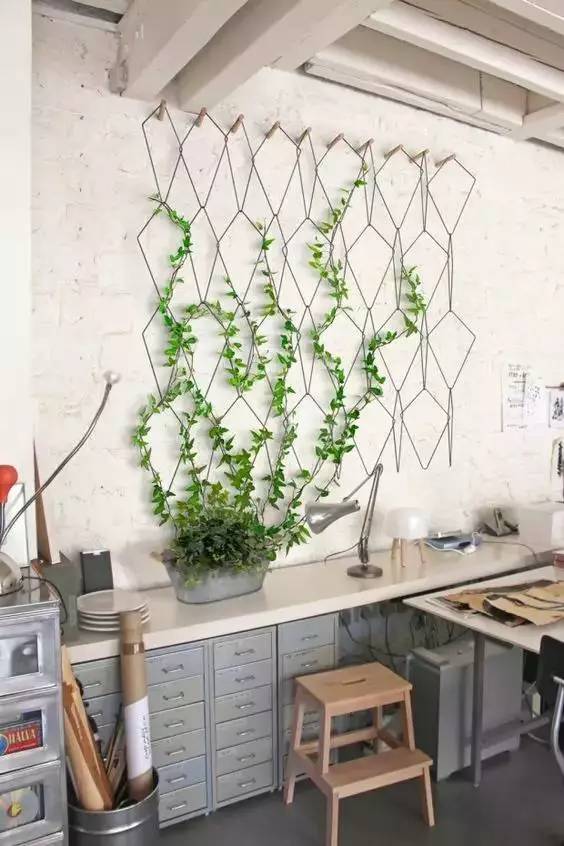 幾根繩子把綠植種成屏風，還買花盆干嘛？