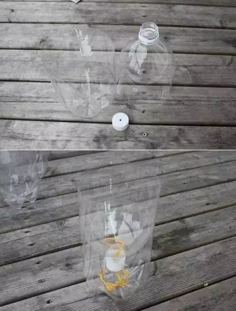 幾根繩子把綠植種成屏風，還買花盆干嘛？