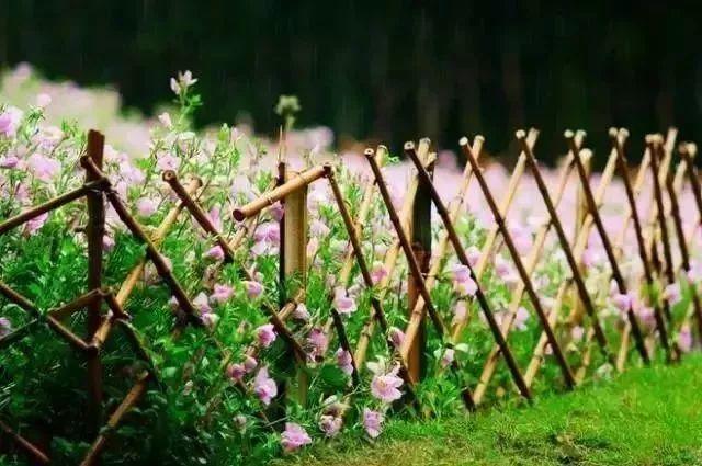 余生，想要一個院子，看花開花落......