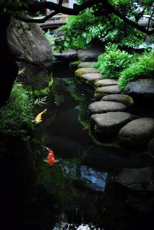 余生，想要一個院子，看花開花落......