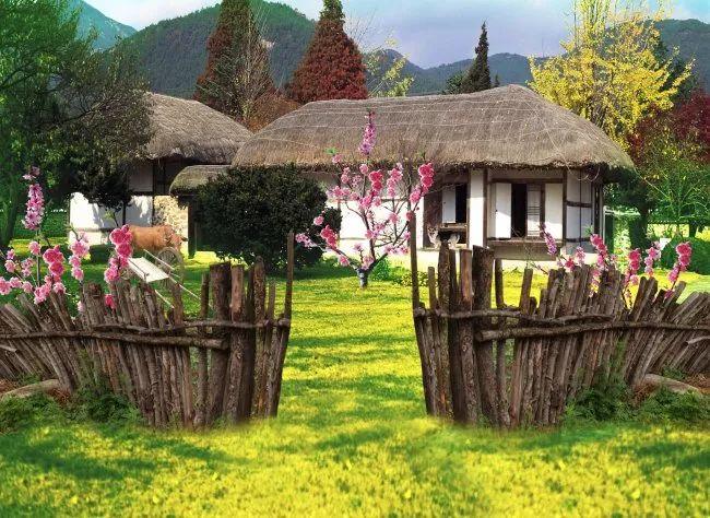 余生，想要一個院子，看花開花落......