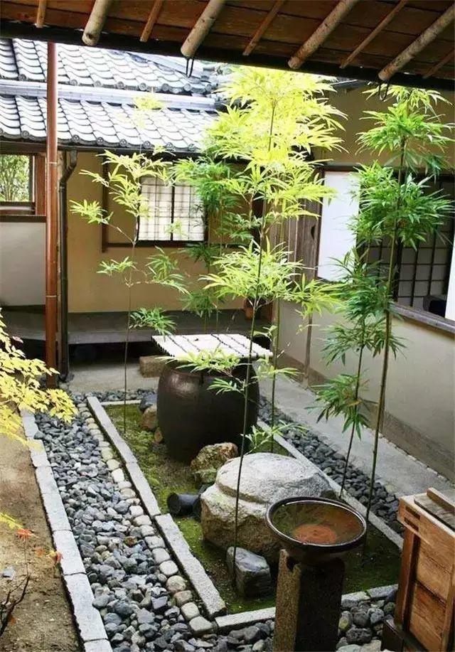 余生，想要一個院子，看花開花落......