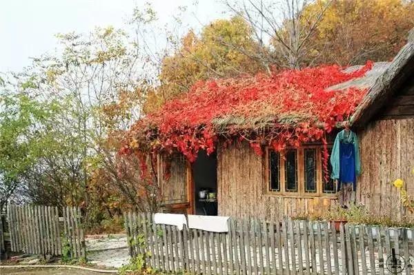 余生，想要一個院子，看花開花落......