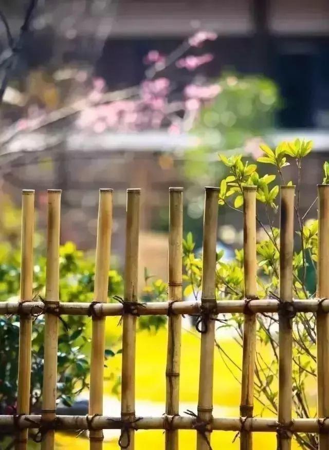 余生，想要一個院子，看花開花落......