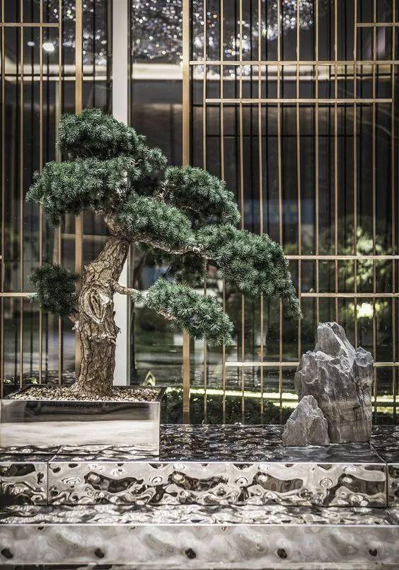 充滿生機(jī)和活力的軟裝——綠植，你家怎么缺少？