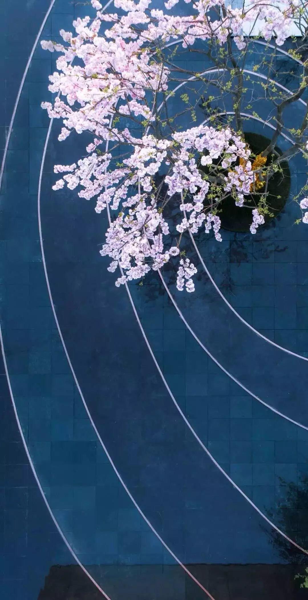 新視野|“圓”來(lái)重復(fù)設(shè)計(jì)這么好看~