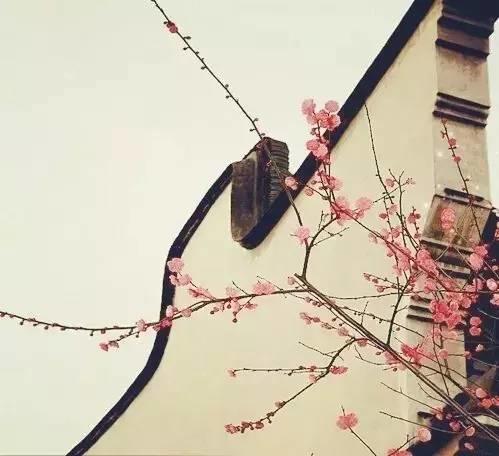 新視野|中國古建筑驚艷世界的美！