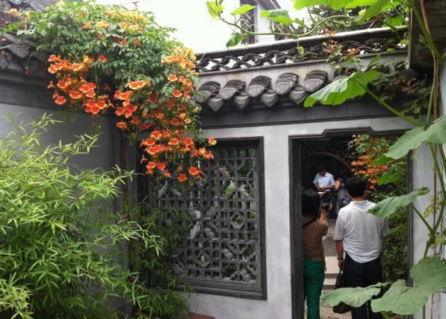 花花世界|一棵爬藤植物，讓整個(gè)院子成為花海