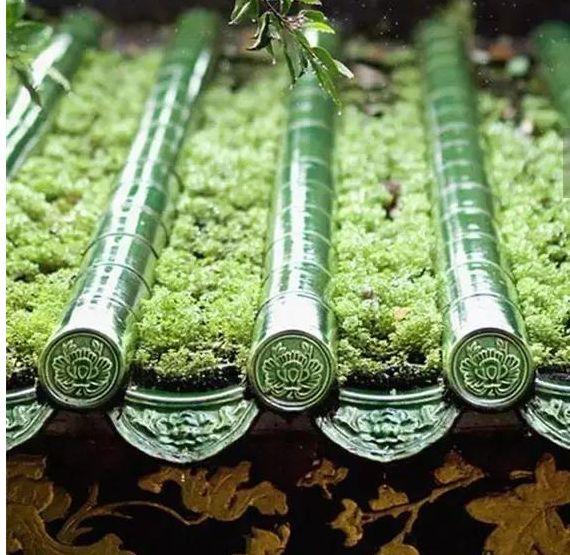 微園林|如詩般的小院，你可有心動？