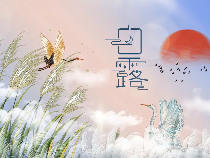 今日白露  | 清風白露，愿歲月無憂