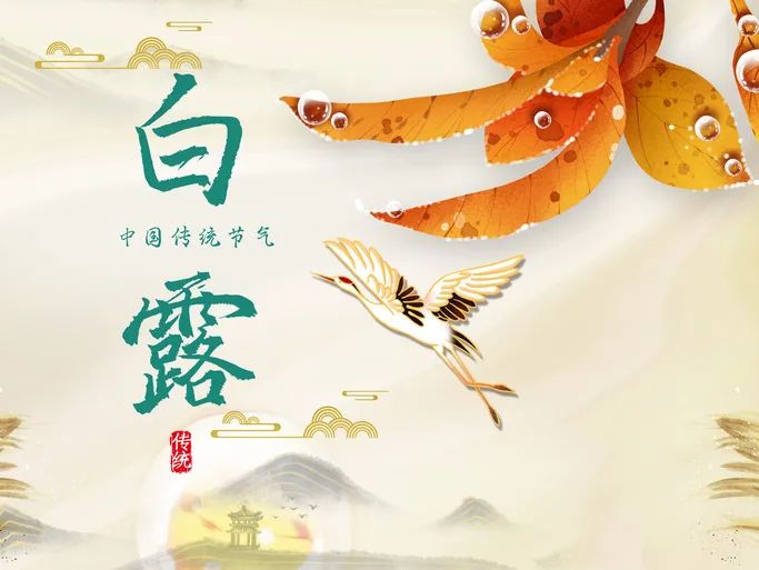 今日白露  | 清風白露，愿歲月無憂