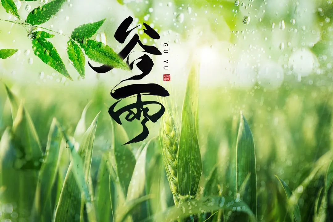 今日谷雨 | 時(shí)至暮春，初夏將至