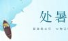 處暑 | 暑氣漸消，涼意悄然而至
