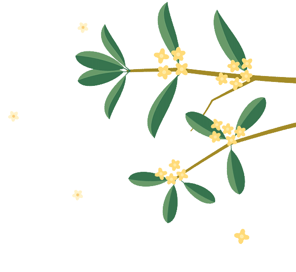花好月圓·清風裝飾·中秋專享惠，九重福利，驚喜連連！