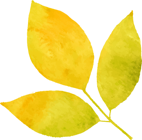 秋分 | 秋分已至 歲月靜好 秋分 | 秋分已至 歲月靜好